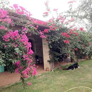 Casa Santina Girasole